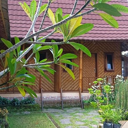 Mysha Guest House-Lombok Tetebatu Ngoại thất bức ảnh