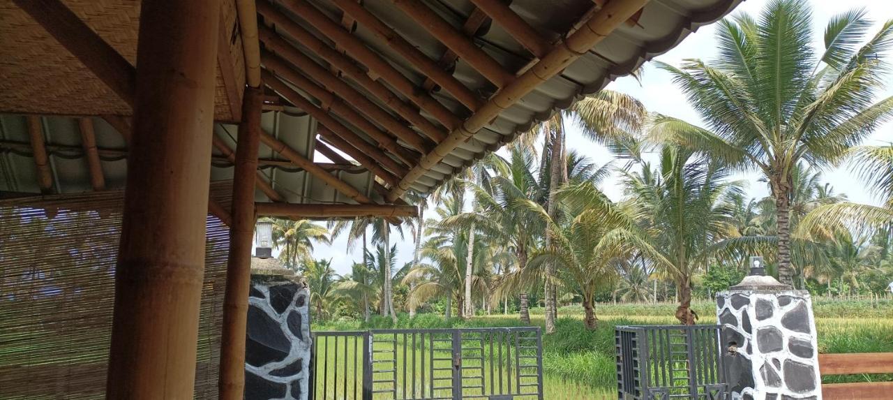 Mysha Guest House-Lombok Tetebatu Ngoại thất bức ảnh