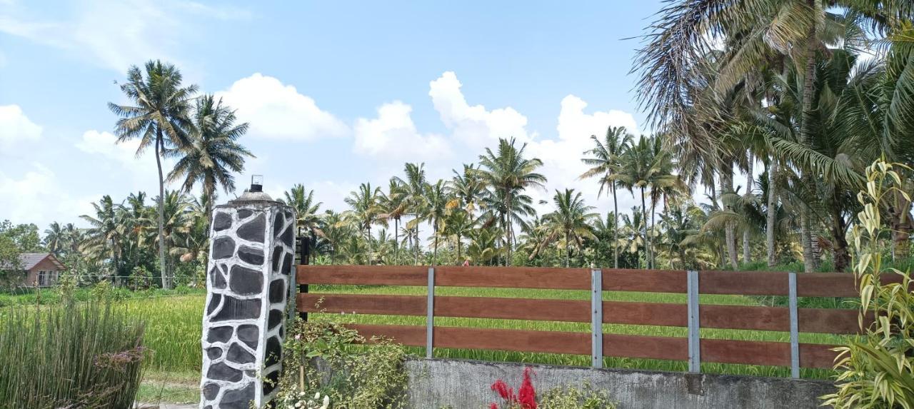 Mysha Guest House-Lombok Tetebatu Ngoại thất bức ảnh