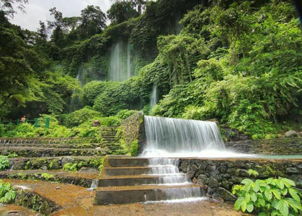 Mysha Guest House-Lombok Tetebatu Ngoại thất bức ảnh