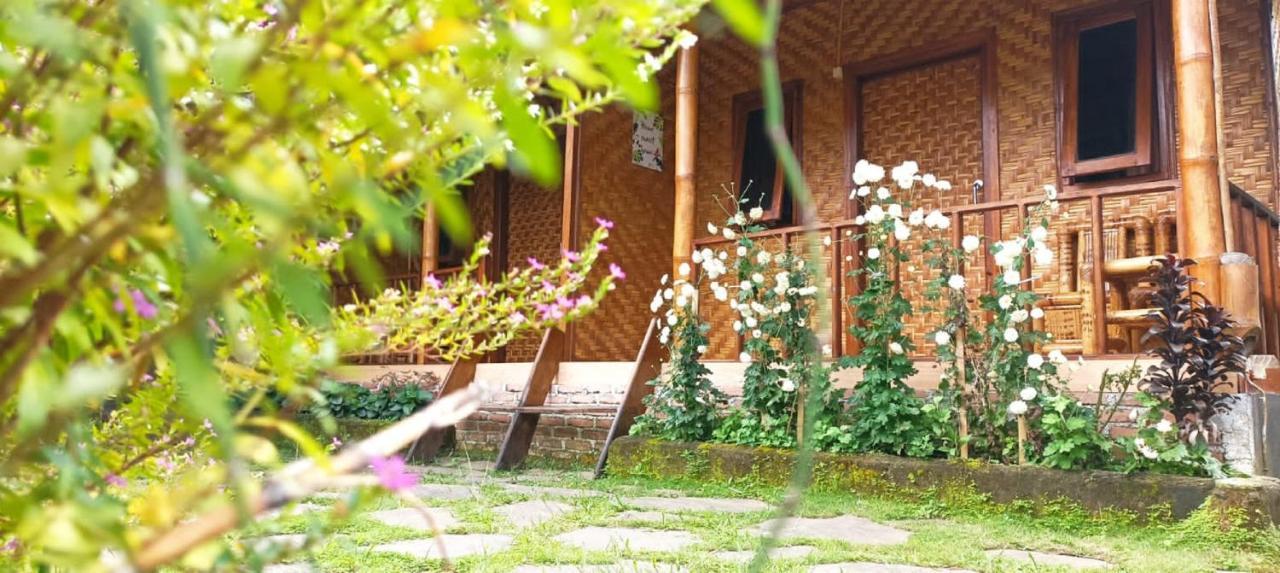 Mysha Guest House-Lombok Tetebatu Ngoại thất bức ảnh