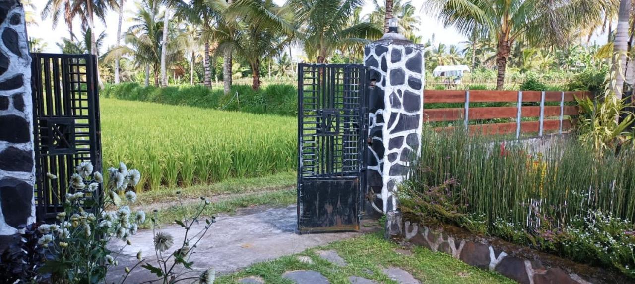 Mysha Guest House-Lombok Tetebatu Ngoại thất bức ảnh