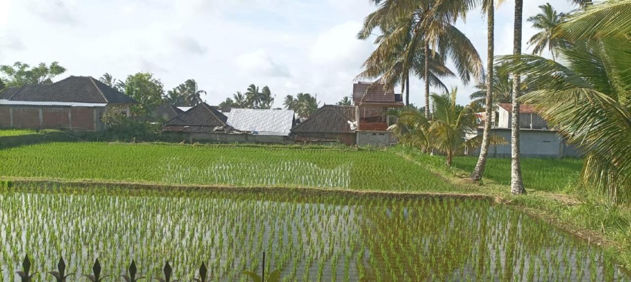Mysha Guest House-Lombok Tetebatu Ngoại thất bức ảnh