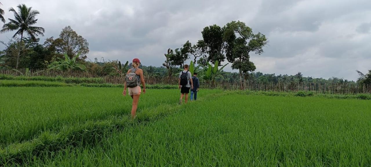 Mysha Guest House-Lombok Tetebatu Ngoại thất bức ảnh