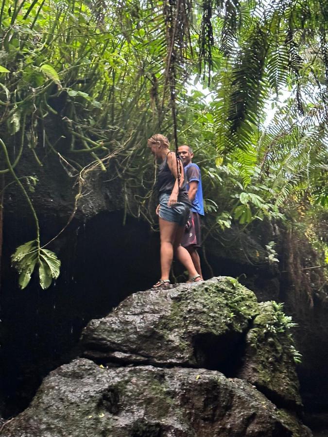 Mysha Guest House-Lombok Tetebatu Ngoại thất bức ảnh