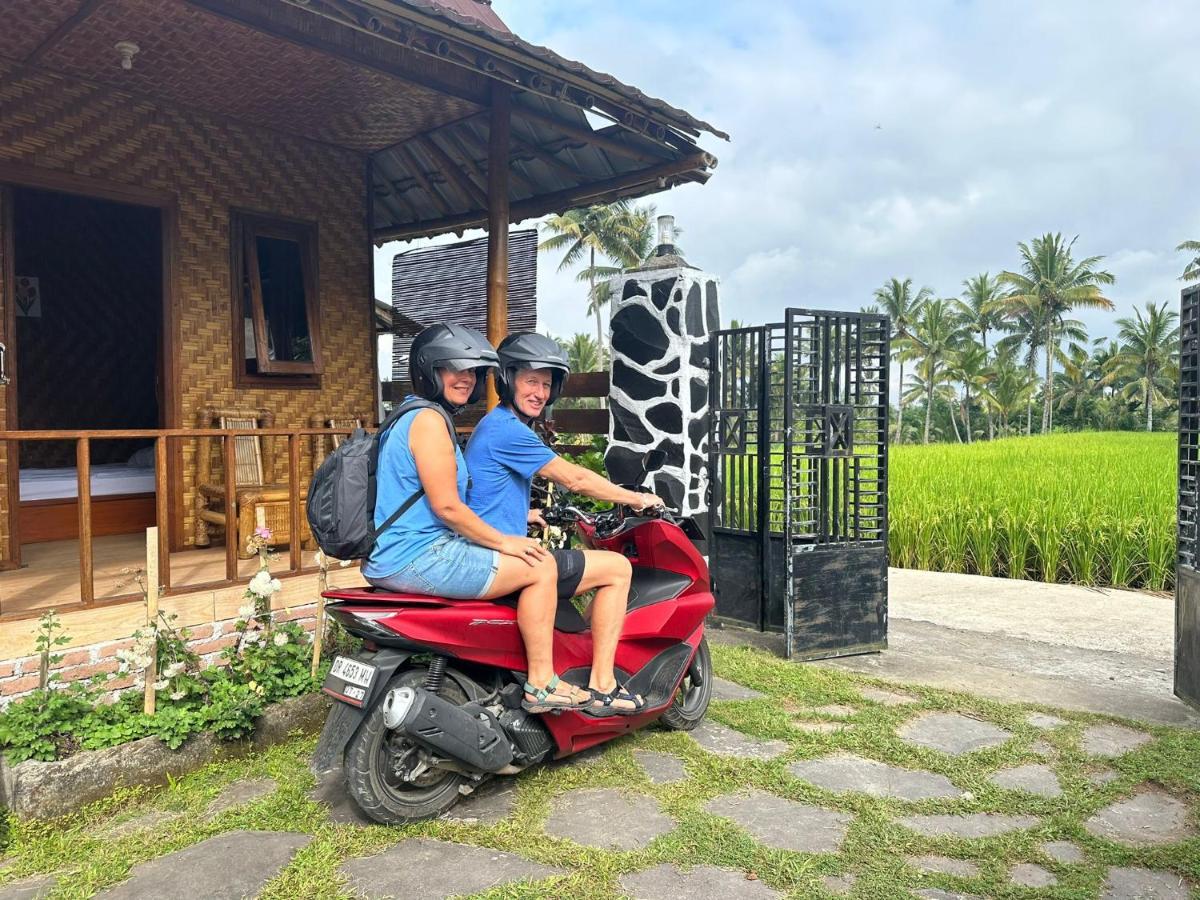 Mysha Guest House-Lombok Tetebatu Ngoại thất bức ảnh