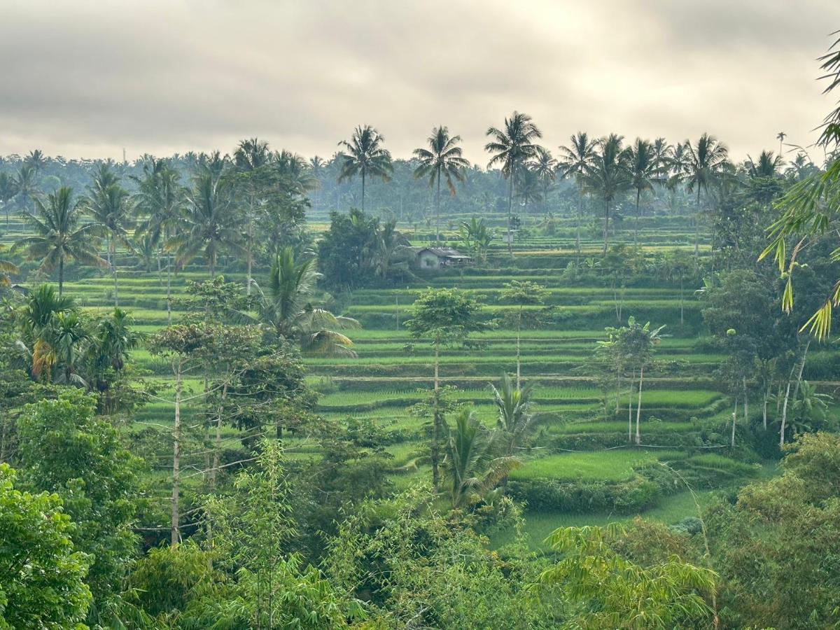 Mysha Guest House-Lombok Tetebatu Ngoại thất bức ảnh
